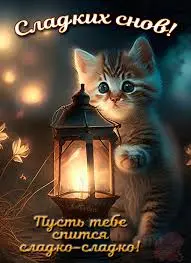 Без названия.webp