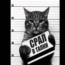 Без названия.webp