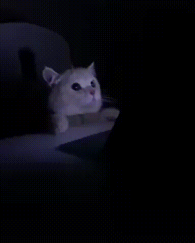 Без_названия_(1).gif