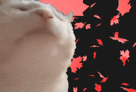 Безимени-5.gif