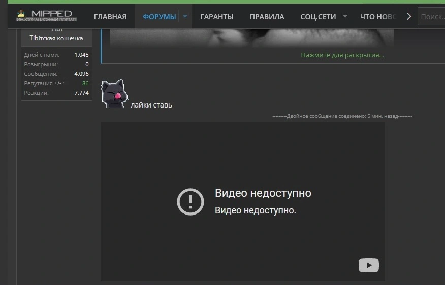 Безымянный.webp