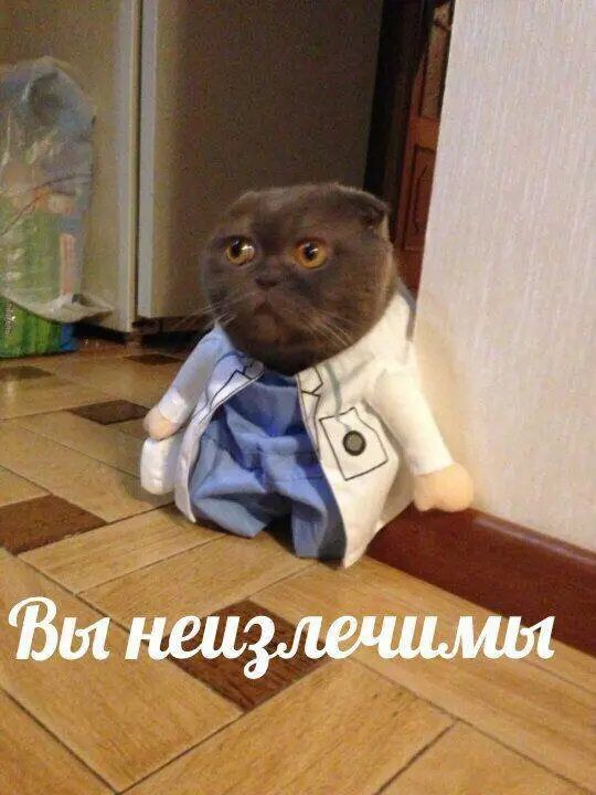 Bldx12gtskE.webp