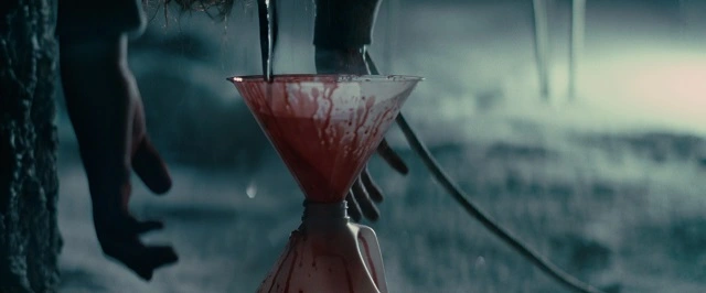 blood.webp
