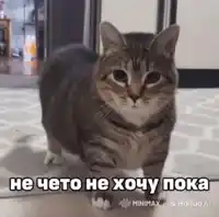 bye-cat.webp
