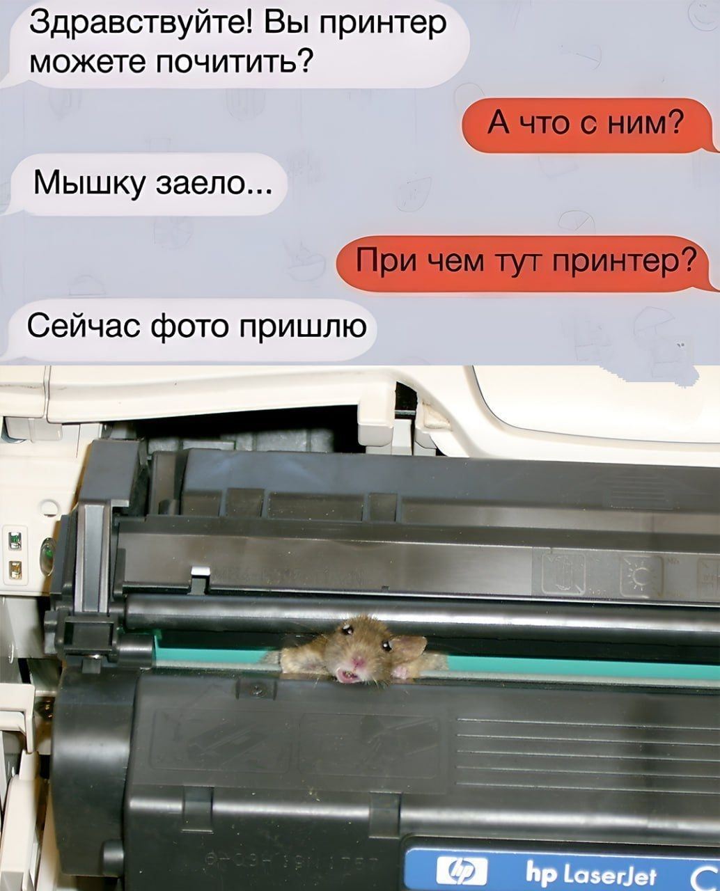 bZVsSPoqw2bFWqZbpKiRokGVm3y9LqMe17BGD_QQ8wcY1qL7ufGmfsJsDSNTQ69tkVMq25-23D01NyCVpegb2WHb.webp