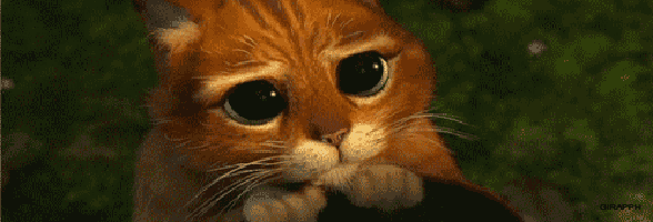 c1d2e7746fa27f3f96cab83fae85270e.gif