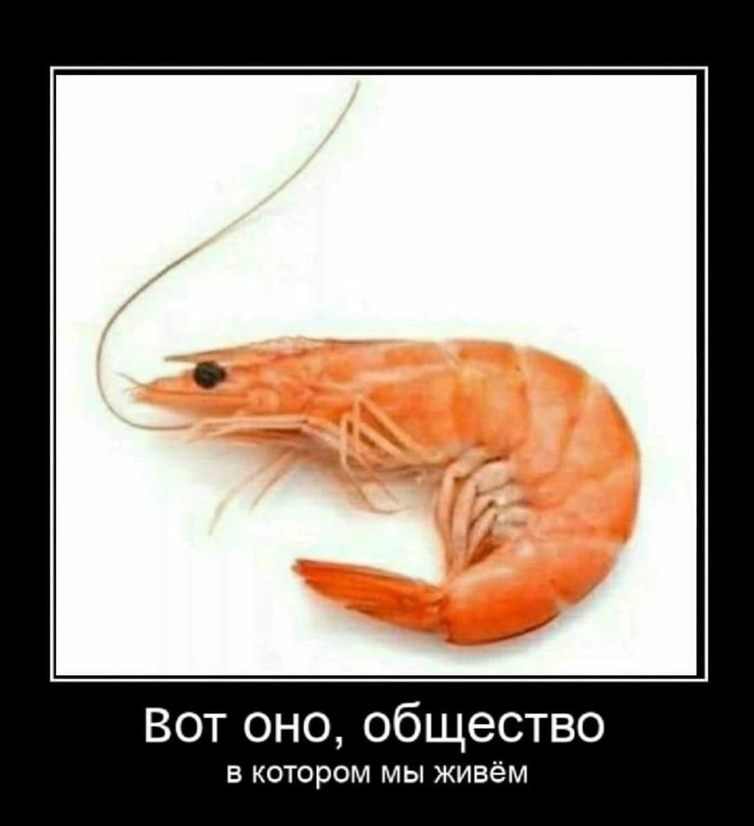 C38E2742-30F4-4218-BF00-0DB7FCF05F38.png