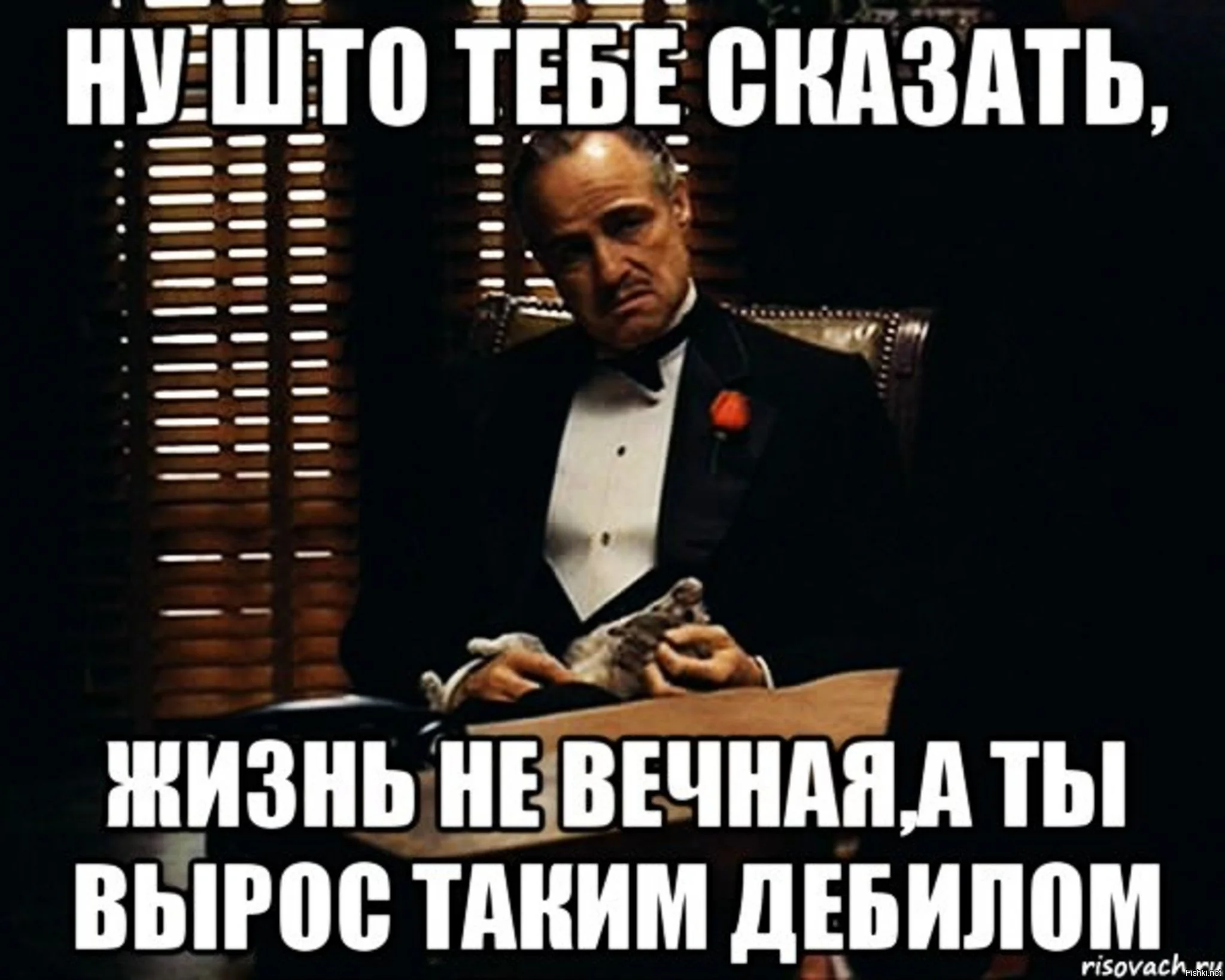 c922f4c42ba042e94cfaa12b67f5ce5f.webp