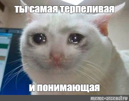 c__mp.webp