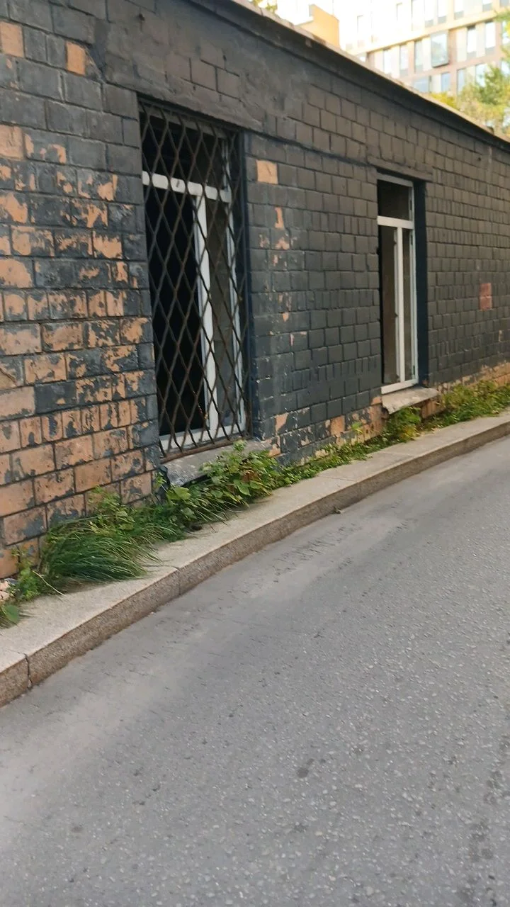 CAP6742809491586099142_compressed1789052233310.webp