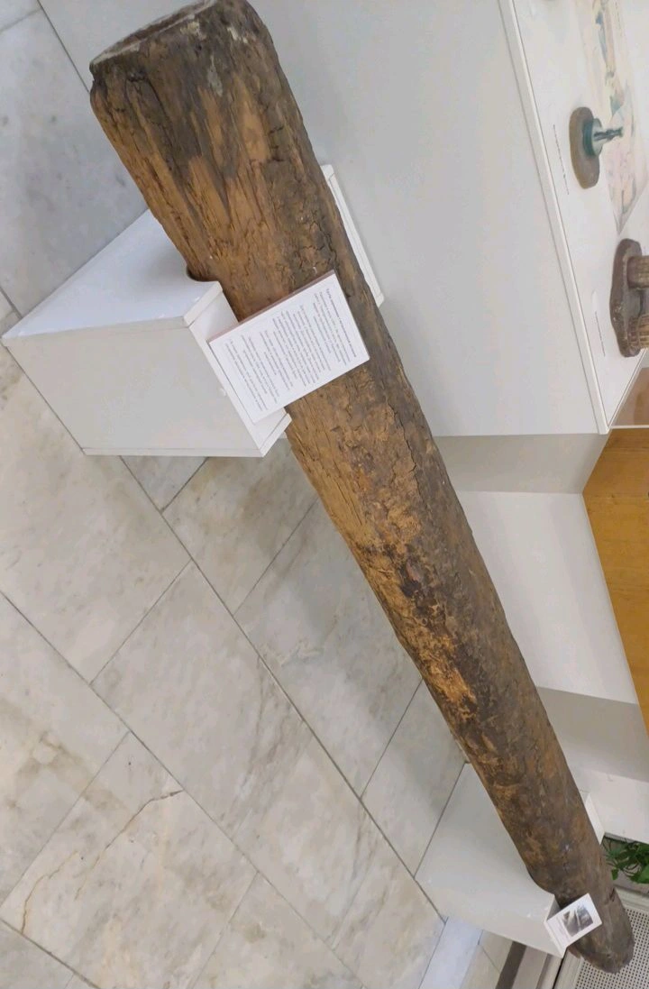 CAP9084203014229757082_compressed1748858928858.webp