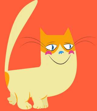 cat.gif