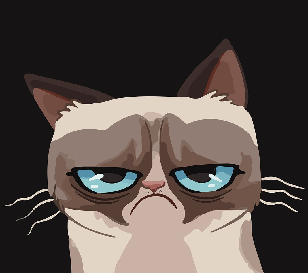 cats-ava-steam-3.webp