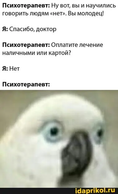 cf6bc34948f844ecfb4eac9db7e75c0cd36c62d9ecf0c10c8705af06f6130c12_1.webp