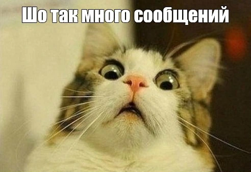 Че.webp