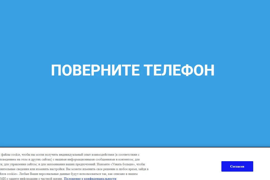 chester.webp