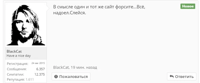 cleysa.webp