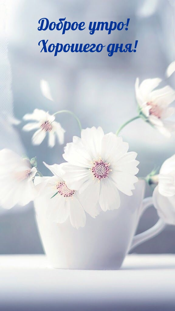createpics_ru_65.webp