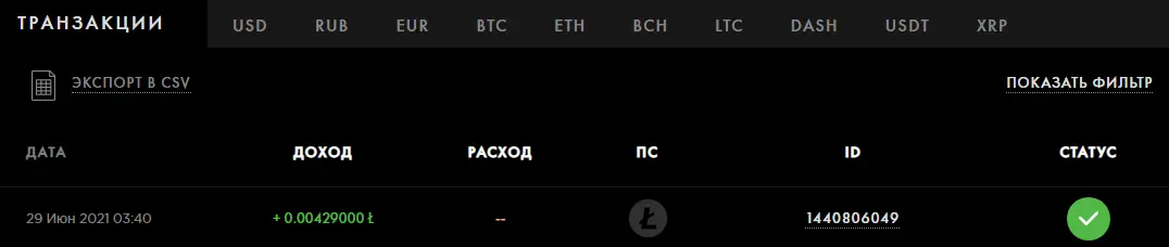 cripto 29-06-2021 payeer.webp