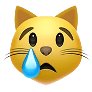 crying-cat-112.png