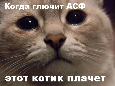 cryingcat.webp