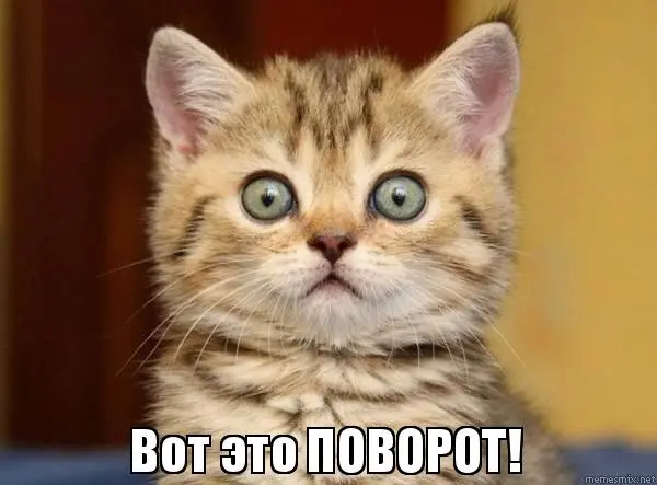 cxocy8.webp
