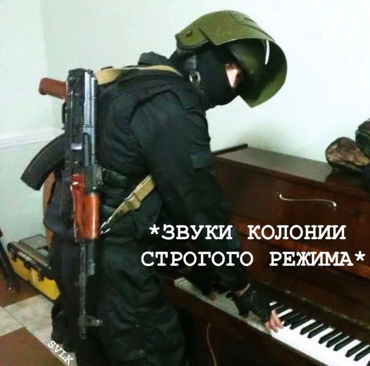 cybuLRslOkayQTdyH6gQaZxyVwqbrh.webp