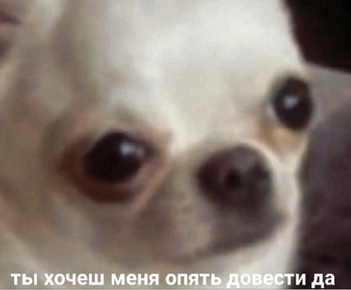 D-EPXfIXoAAOdHV.webp