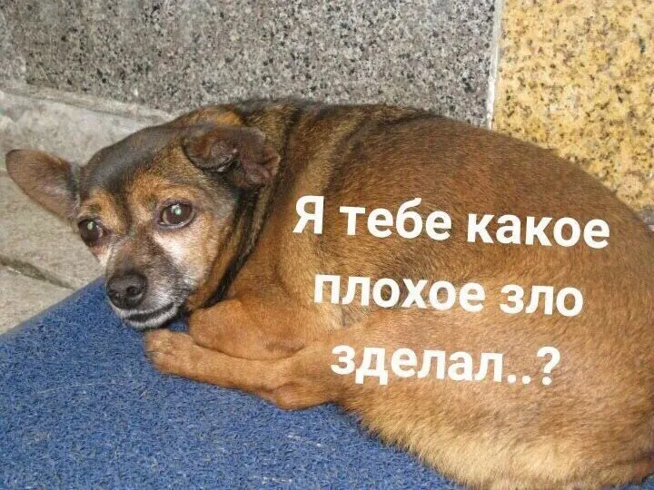 d3b5ac9b9d12ed2b3af31d966cebf0aa.webp
