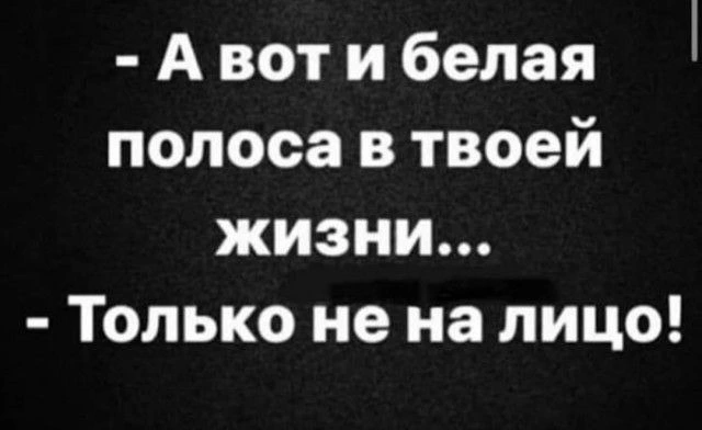 d3c9381c-2d84-49f1-a981-6073d96738d9.webp