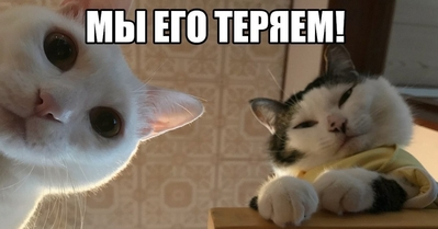 d6341765-11c5-46a6-87cb-3e0a5254b526.webp
