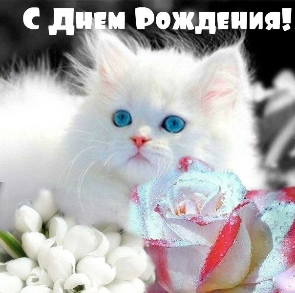 dayname_ru_479.webp