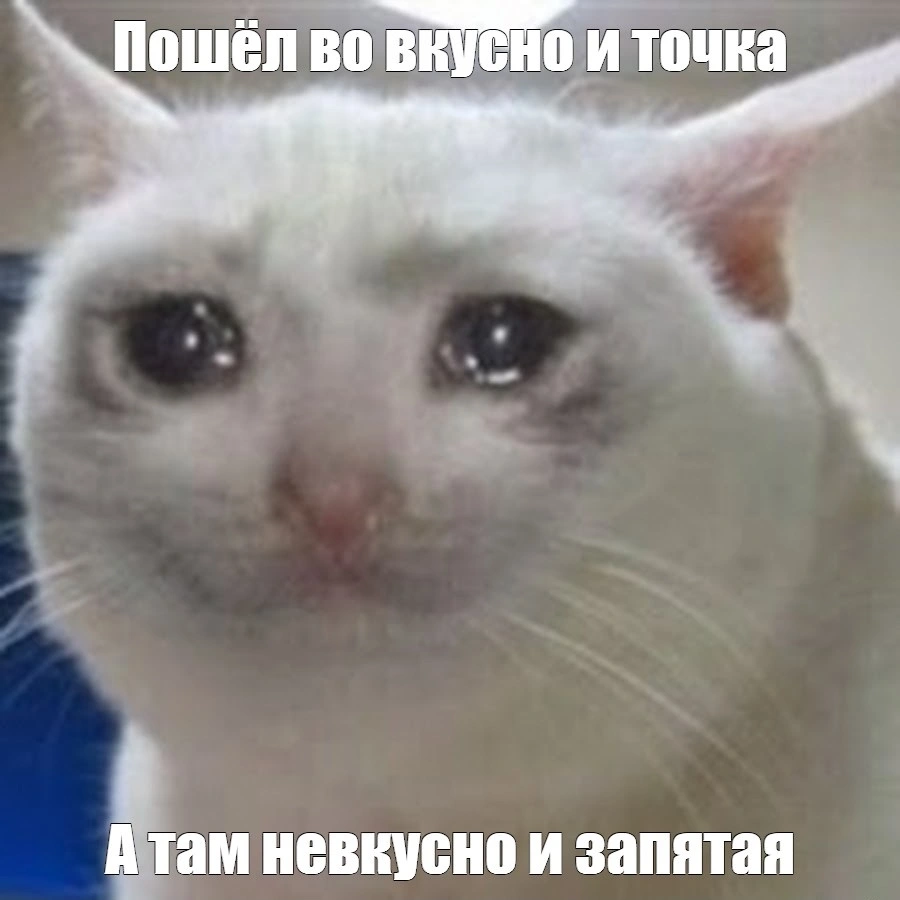dced5e71429836c5275e160e155659bc.webp