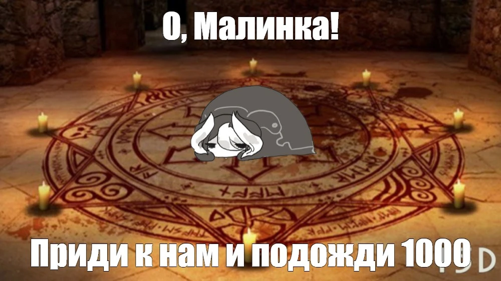 dd5440645f8d9849507331964944e605.webp