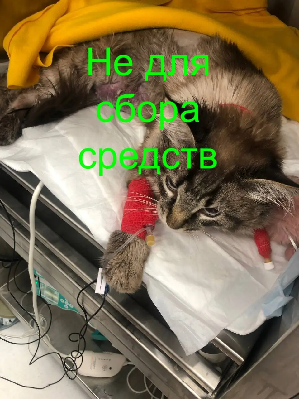 DD5F4B40-E4FB-4256-B759-2C4977715EB8.jpeg