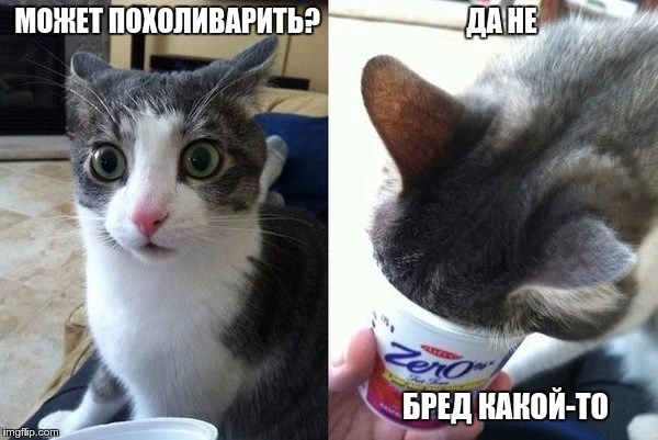 dffa0f60115d3d20ac3a48a97da3343c.webp