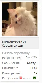 dgdgfd.webp