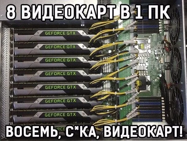 DIq76j1GY6g.webp