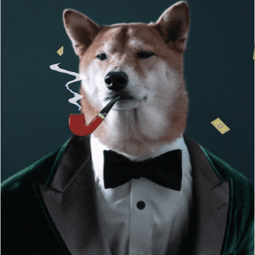 Дизайн без названия(3).gif