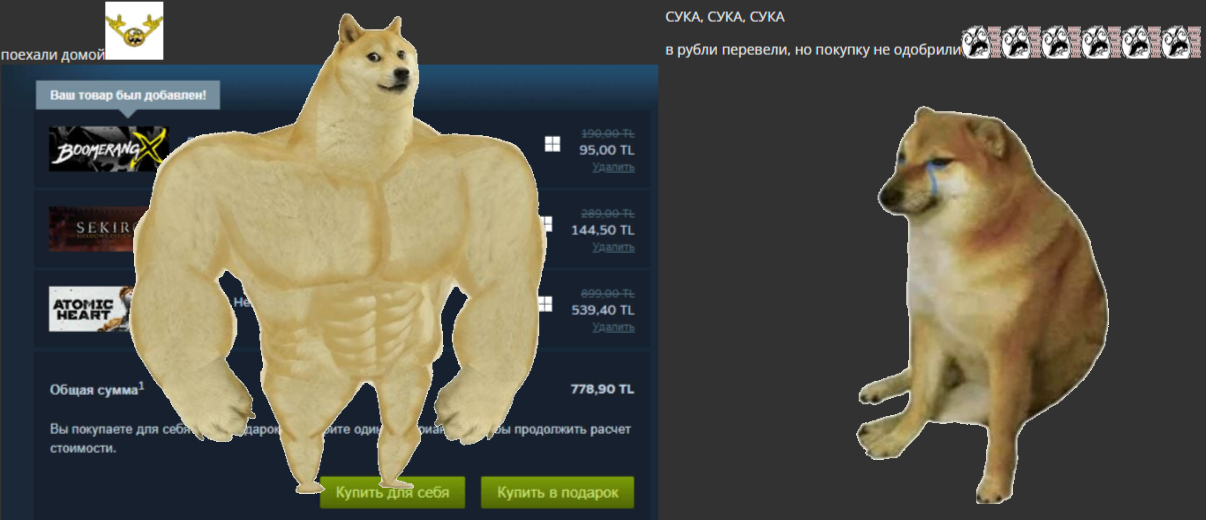 doge-coin-balena.png