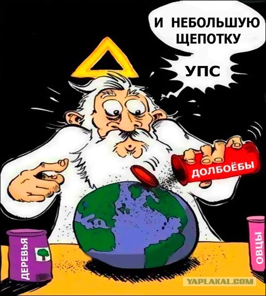 долбо.webp