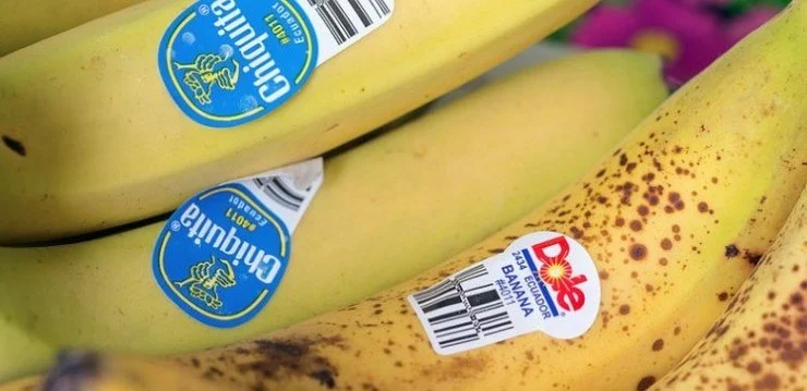 dole.webp