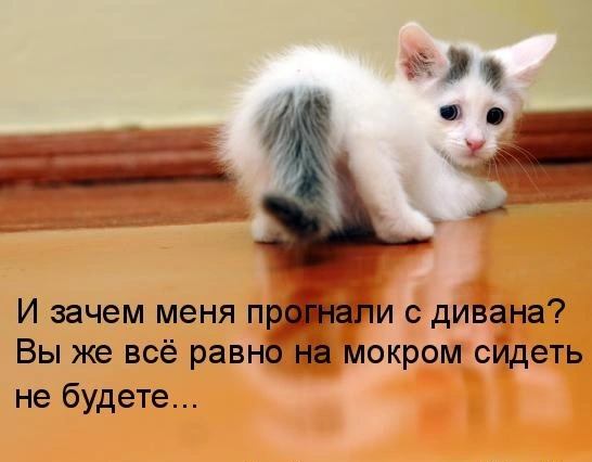 downloadfile-10.webp