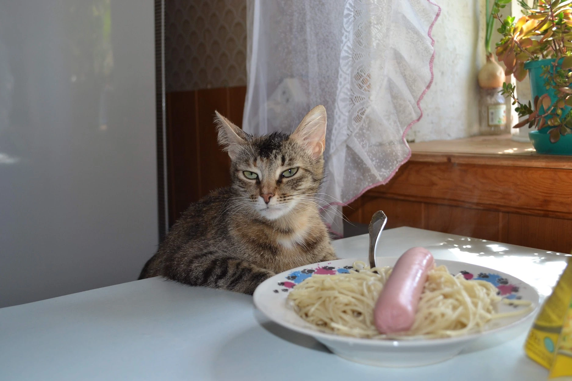 DSC_0052.webp