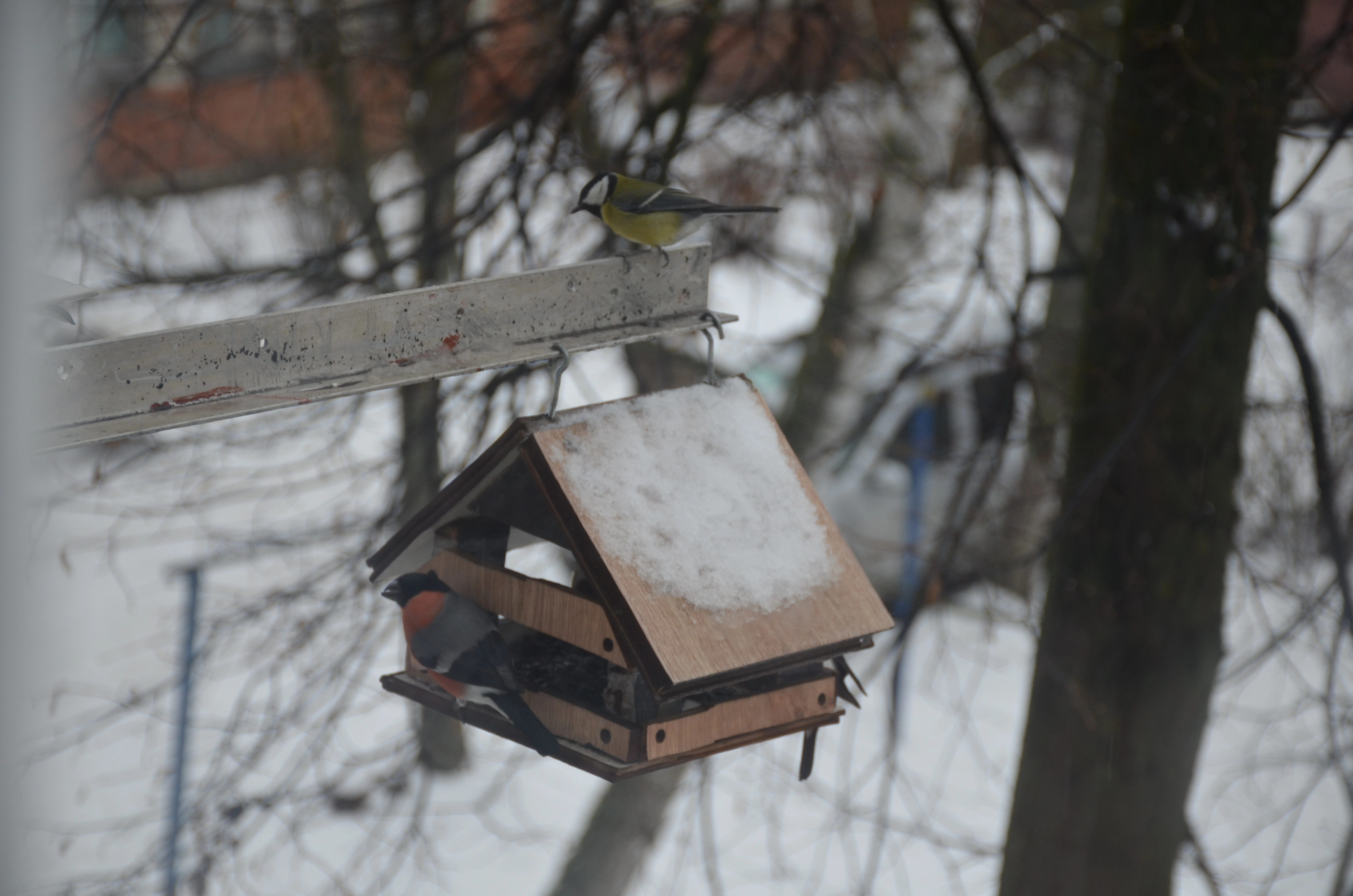 DSC_0195.webp