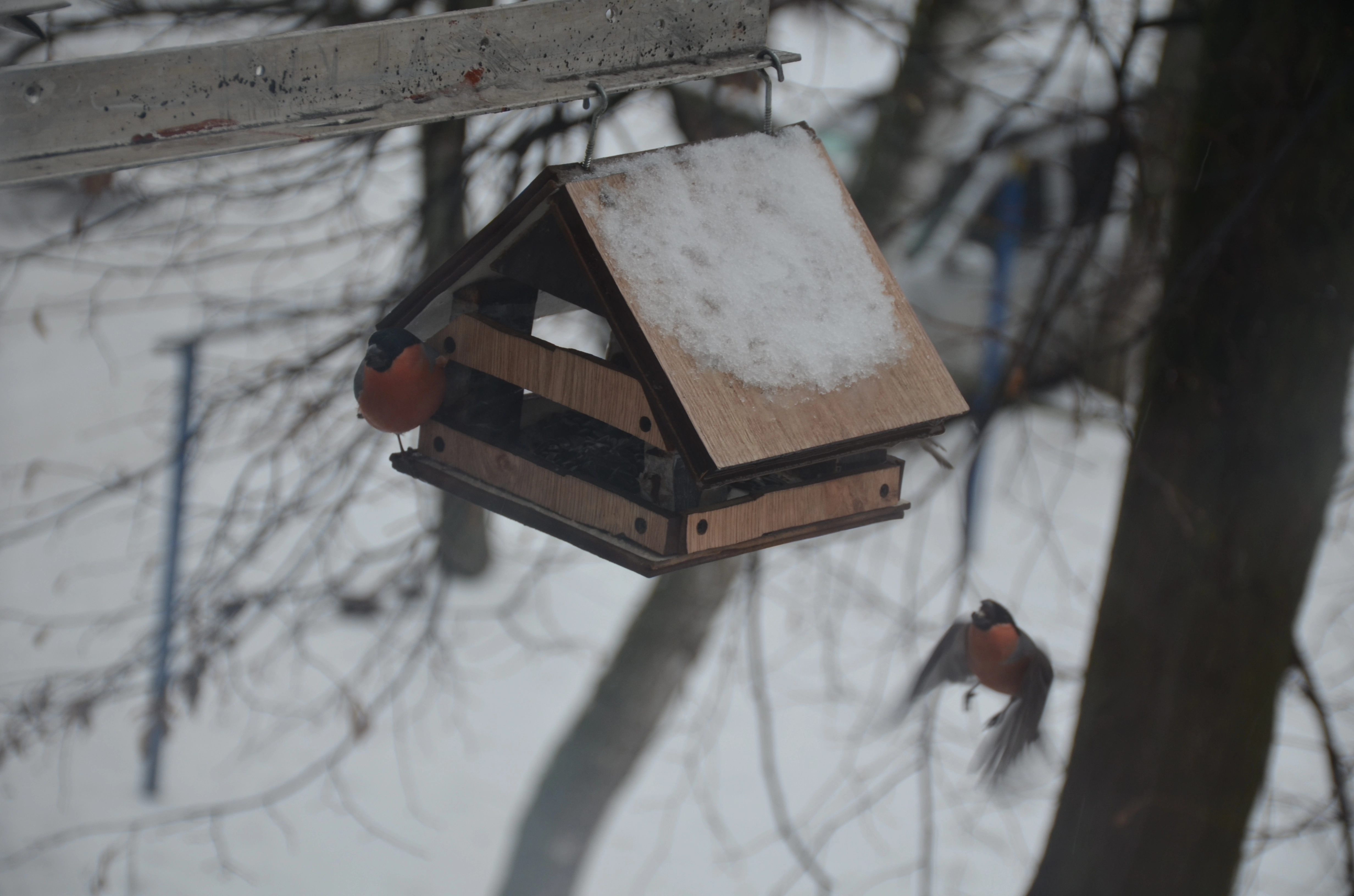 DSC_0197.webp
