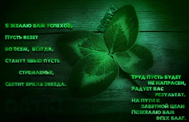 dtkpozhfk31jx58hg.webp