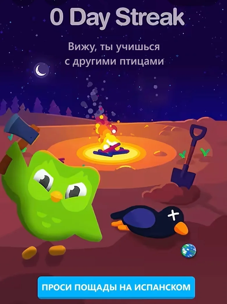 Duo11.webp