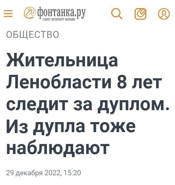 дупло.webp