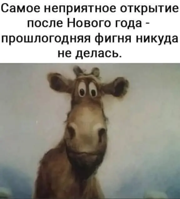 duti.webp